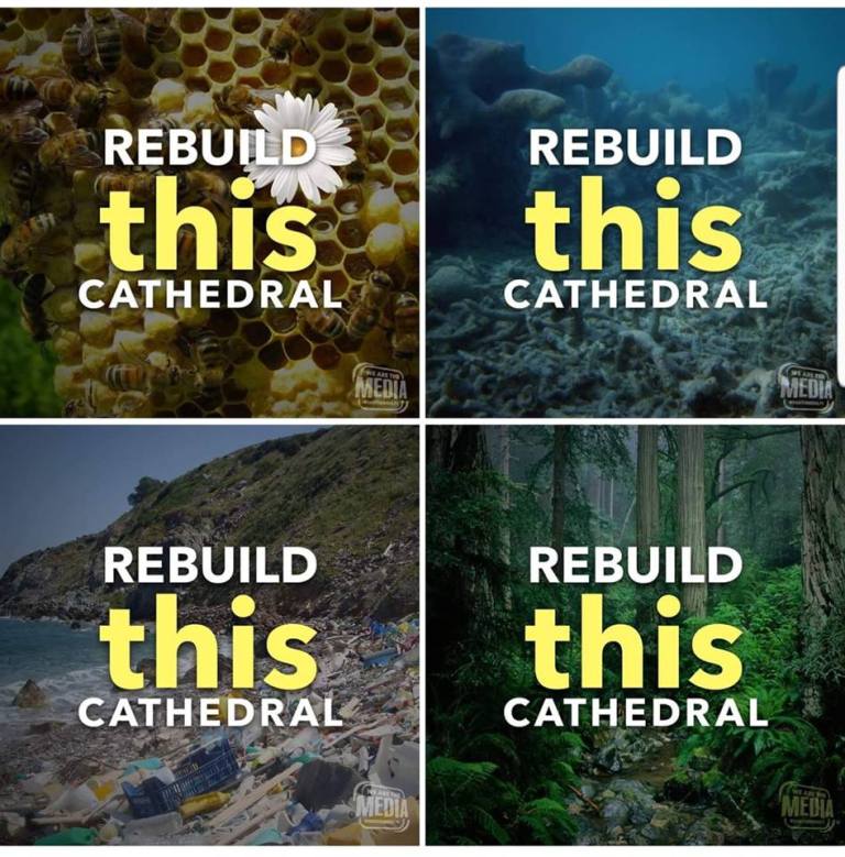 rebuild_this_cathedral